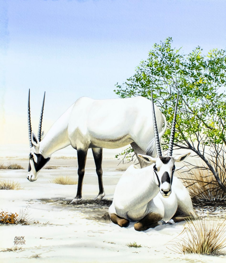 Chuck Ripper (WV,PA,1929-2019) gouache painting (1 of 13)