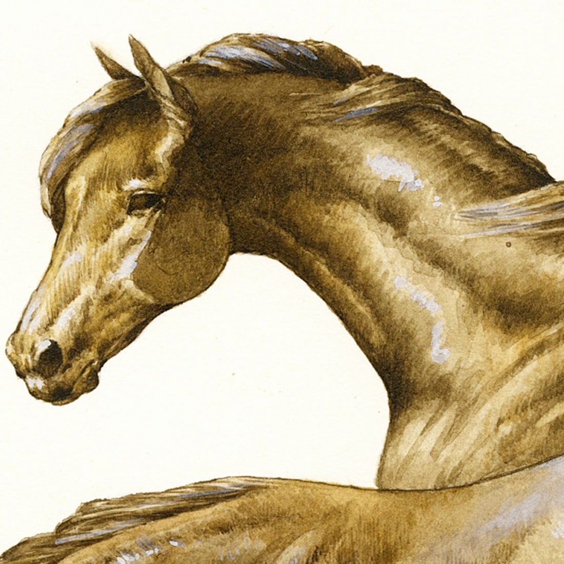 Maureen D Schultz (PA,20C) watercolor painting - 7