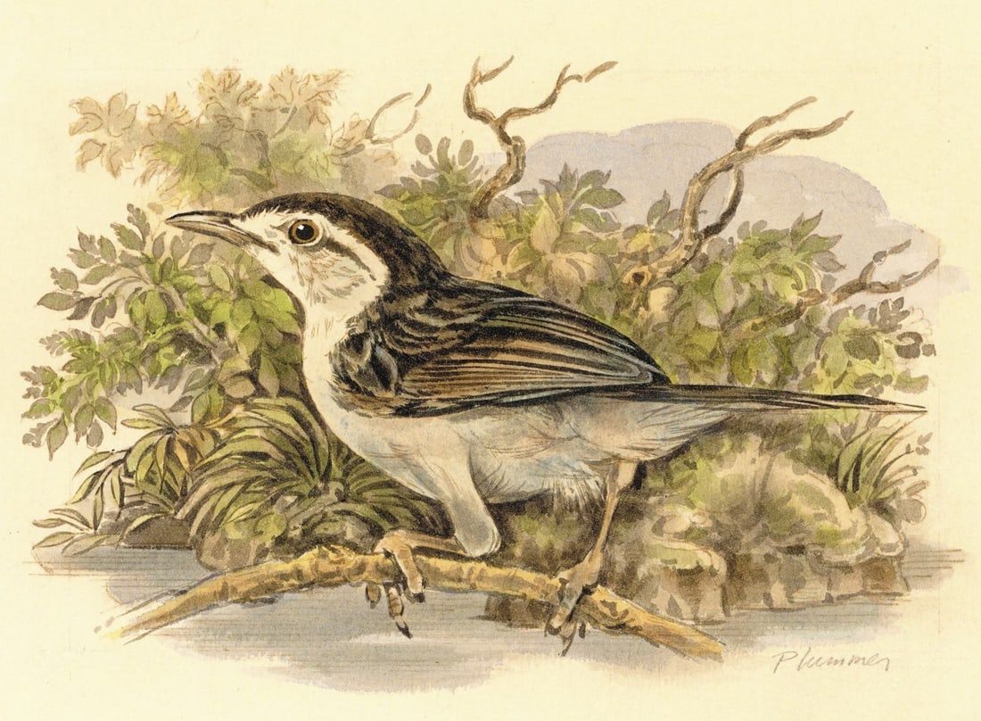 William Plummer (UK,20C) watercolor painting (1 of 12)