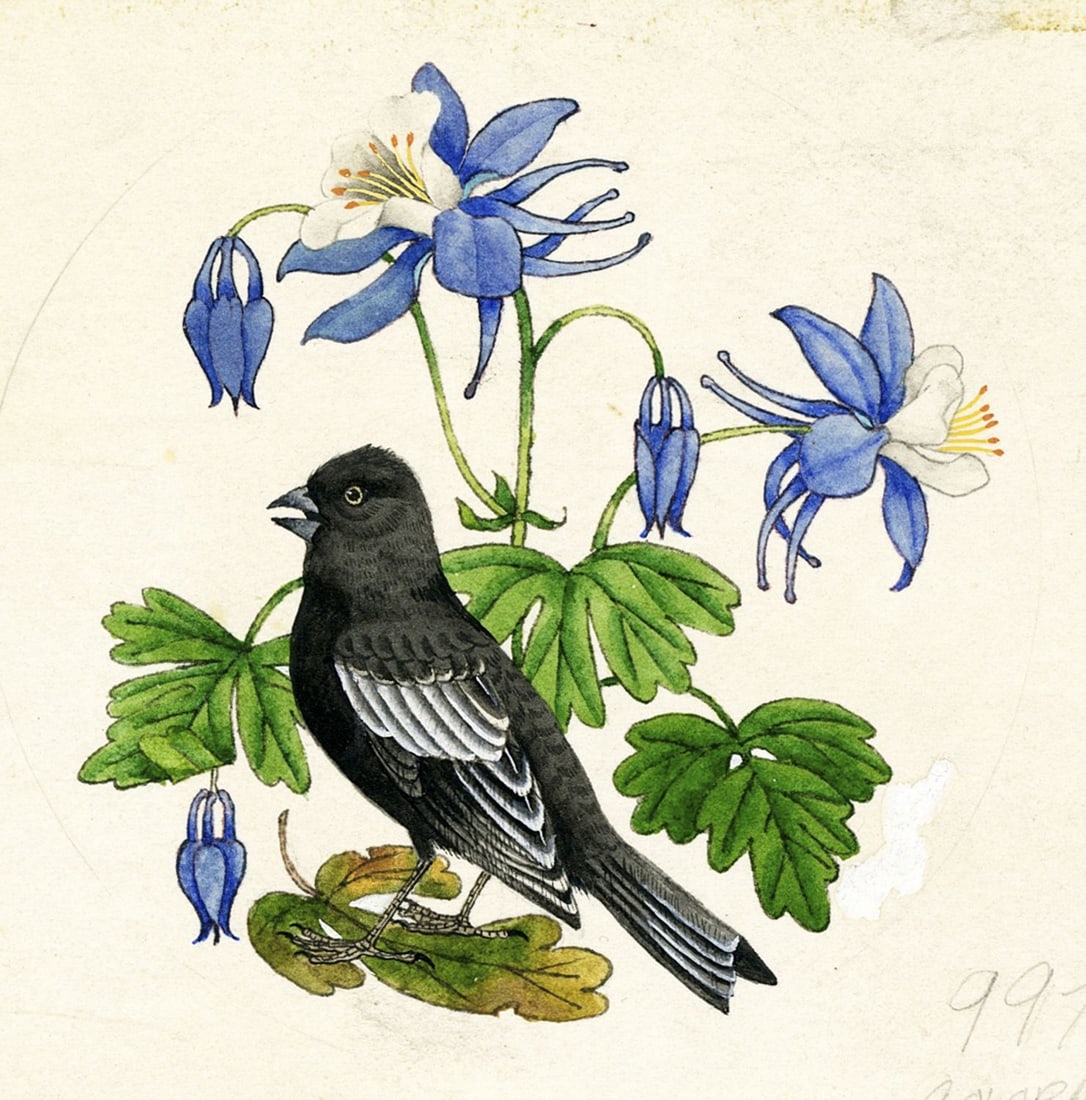 Vintage 20C American watercolor painting (1 of 12)