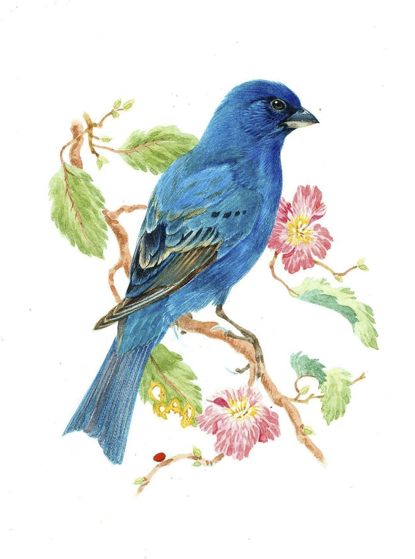 Robin Hill (VA,DC,UK,Australia,1932-?) watercolor painting (1 of 11)