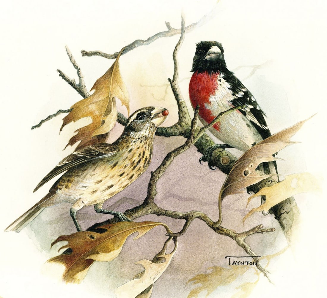 Patricia Taynton (PA,1945-?) watercolor painting (1 of 12)