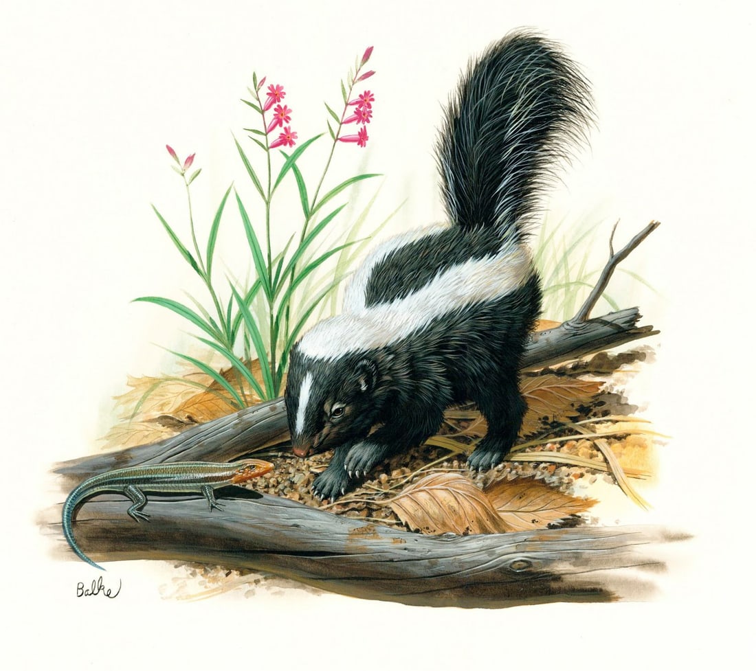 Don Balke (NC,1933-?) gouache painting (1 of 13)