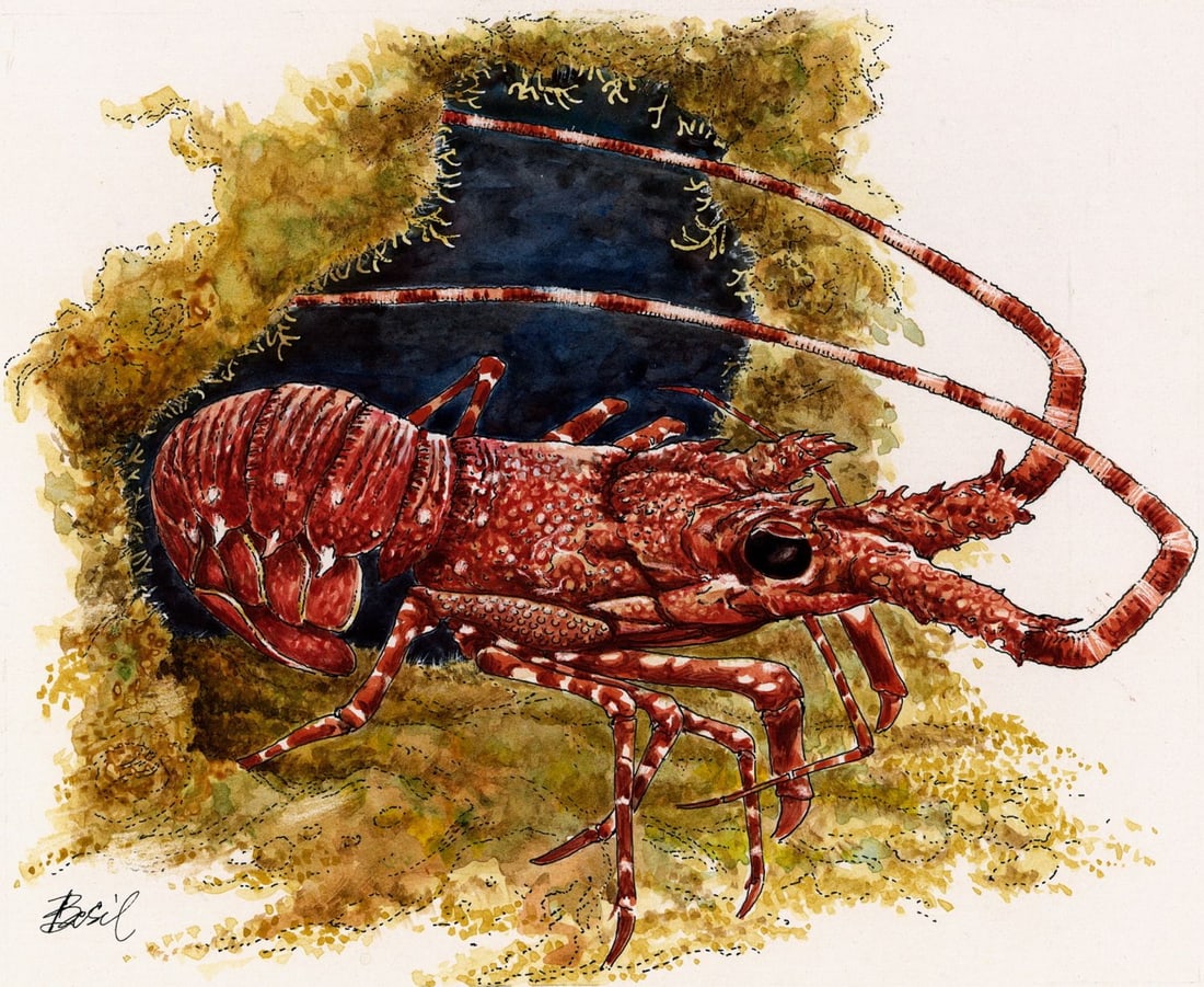 Basil Smith (UK,1925-2010) watercolor painting (1 of 14)