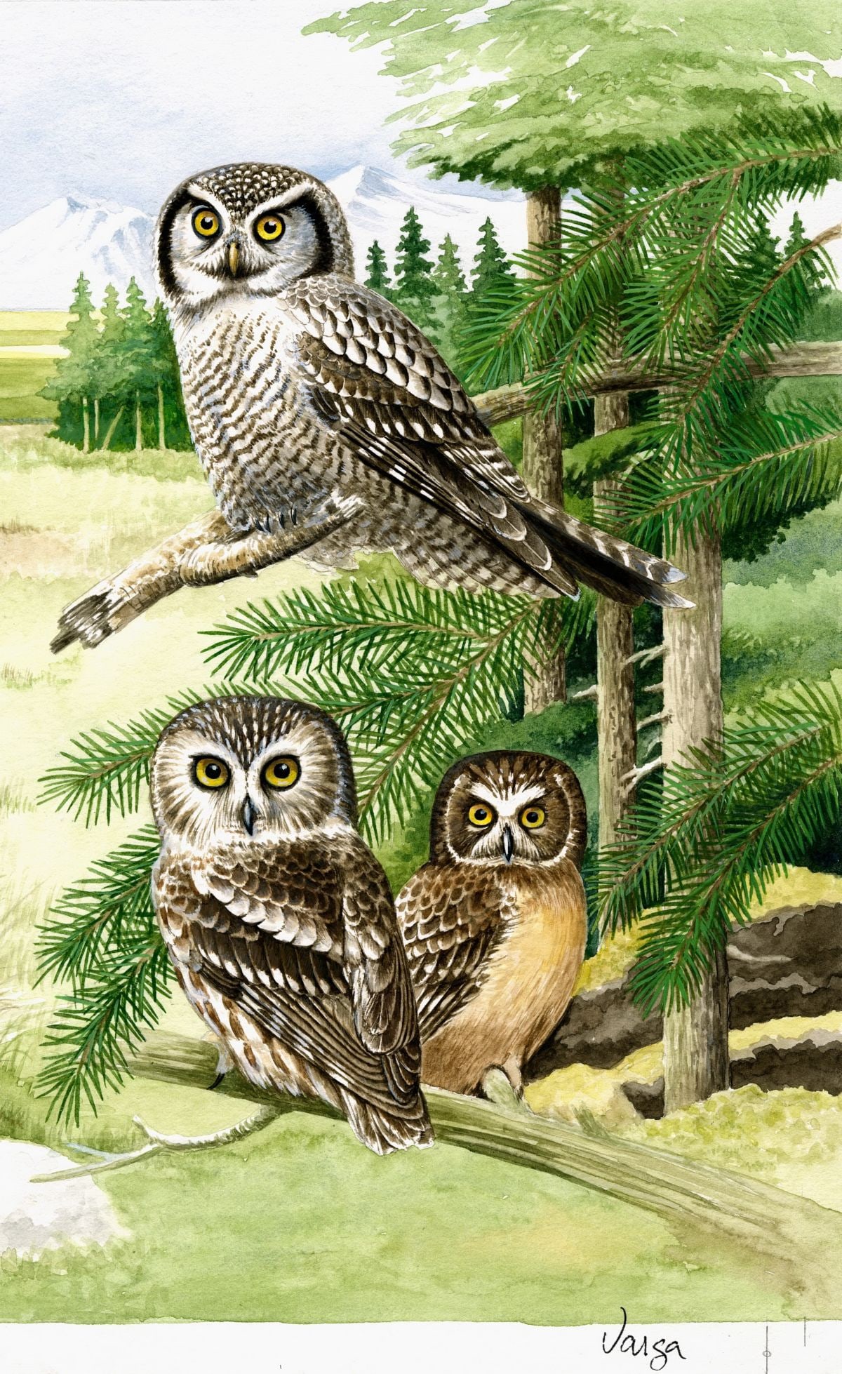 Pal Varga (Hungary,1937-?) watercolor painting (1 of 12)