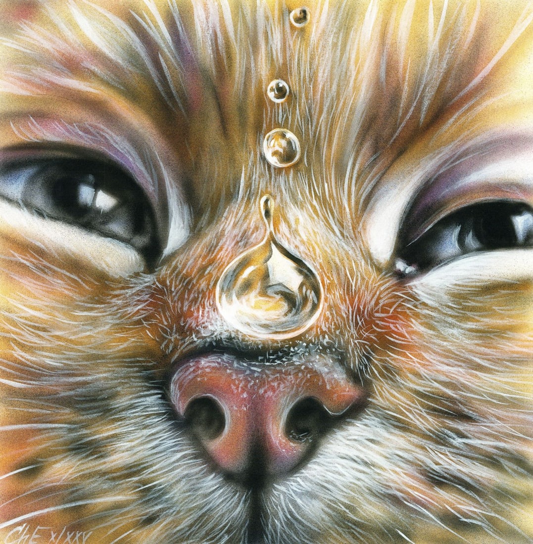 Evgeniy Chunikhin (Ukraine,b 1976) acrylic painting: ARTIST: Evgeniy Chunikhin (Ukrainian, born 1976) TITLE: Cat MEDIUM: acrylic on heavy paper CONDITION: Very good. ART SIZE: 12 x 12 inches / 30 x 30 cm