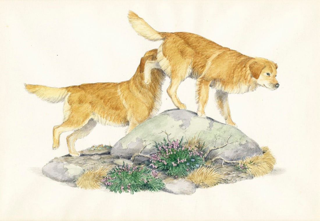 Peter Barrett (UK,1935-?) watercolor painting (1 of 11)