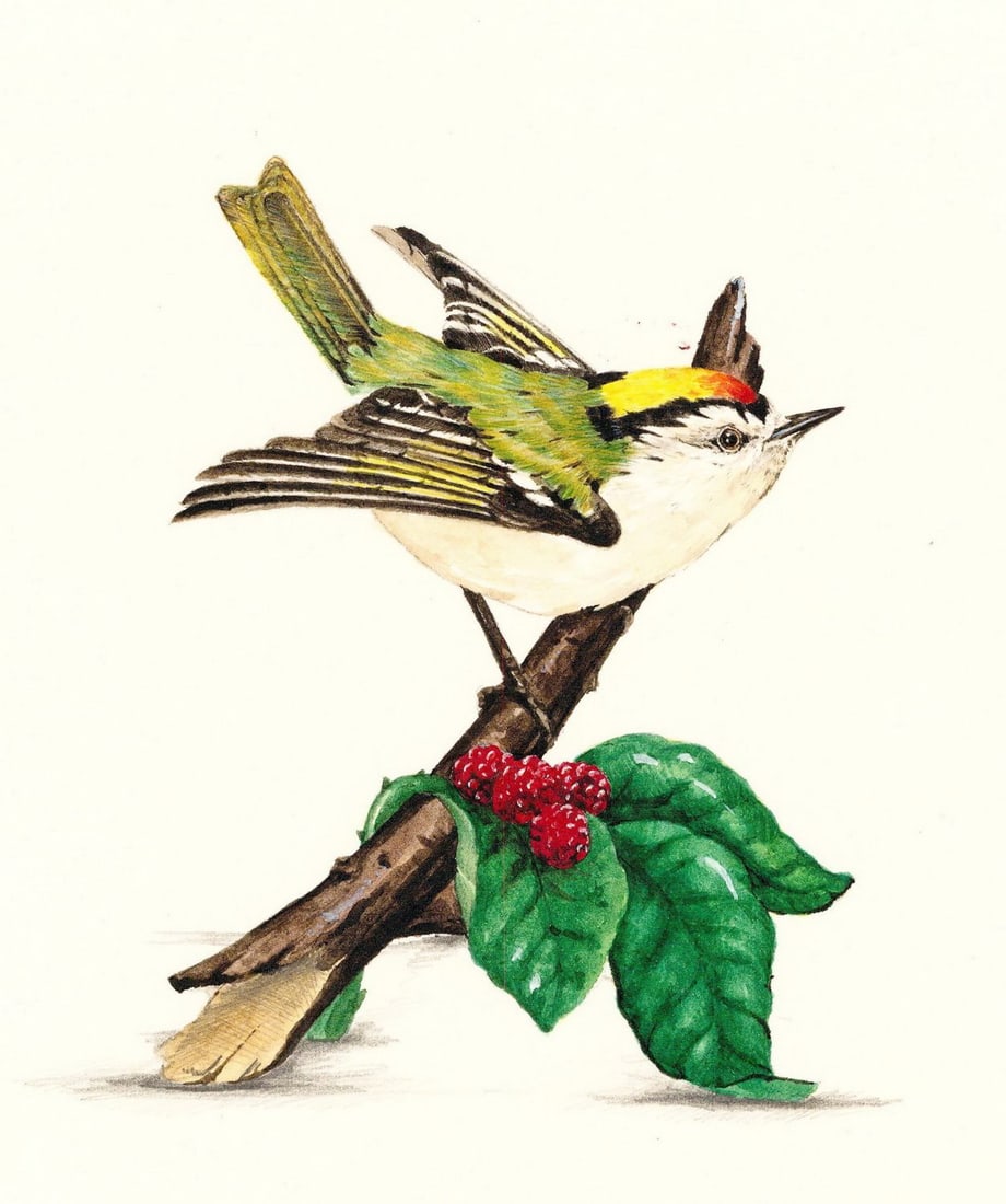 George McMonigle (PA,Hawaii,b 1951) watercolor painting (1 of 13)