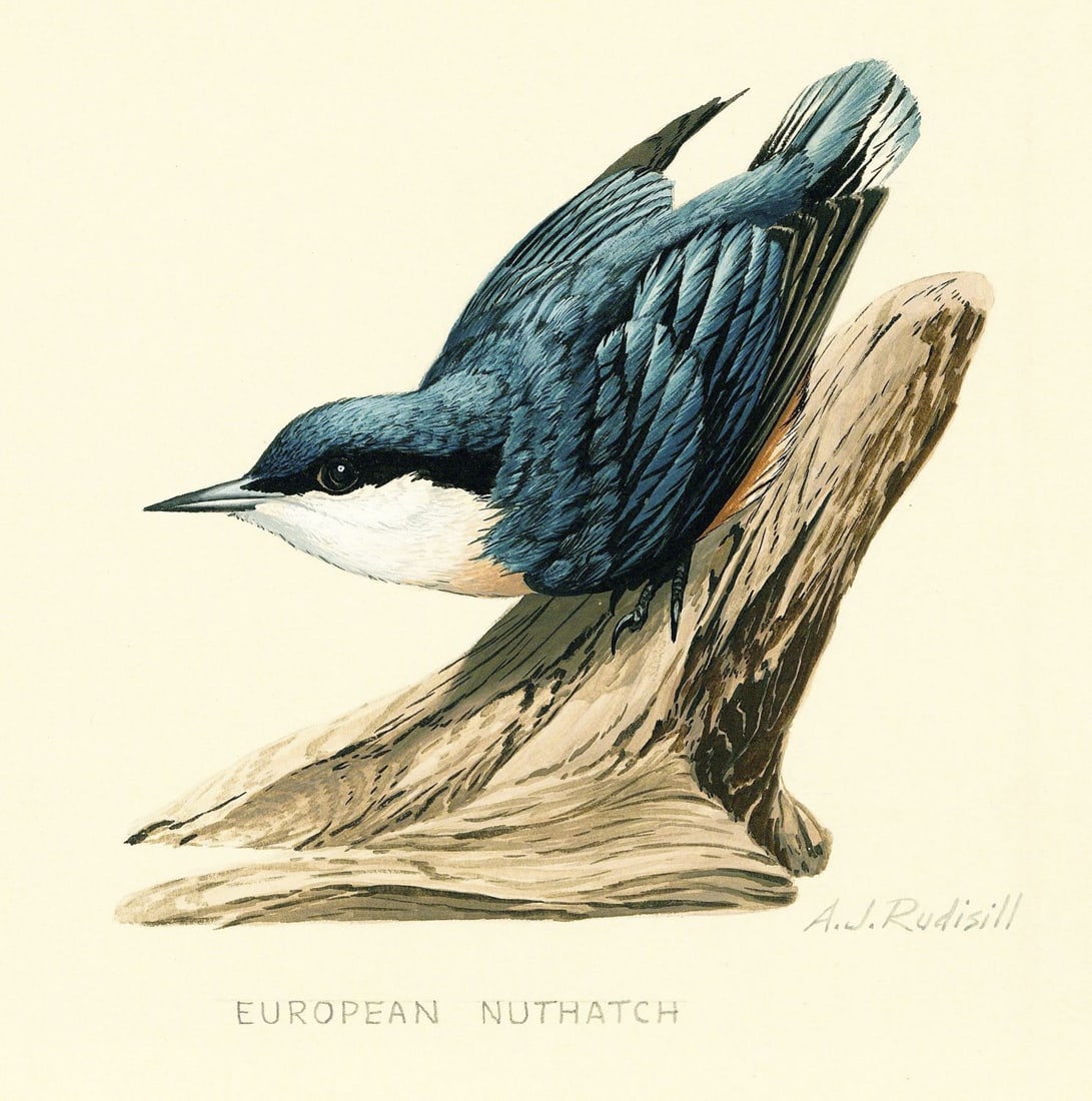 Anthony J Rudisill (US,1934-?) gouache painting (1 of 12)