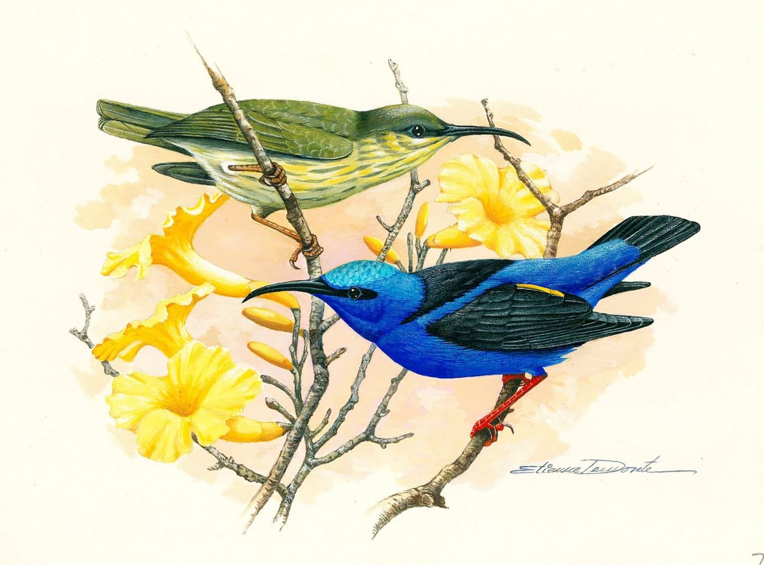 Etienne Demonte (Brazil,1931-2004) gouache painting (1 of 12)