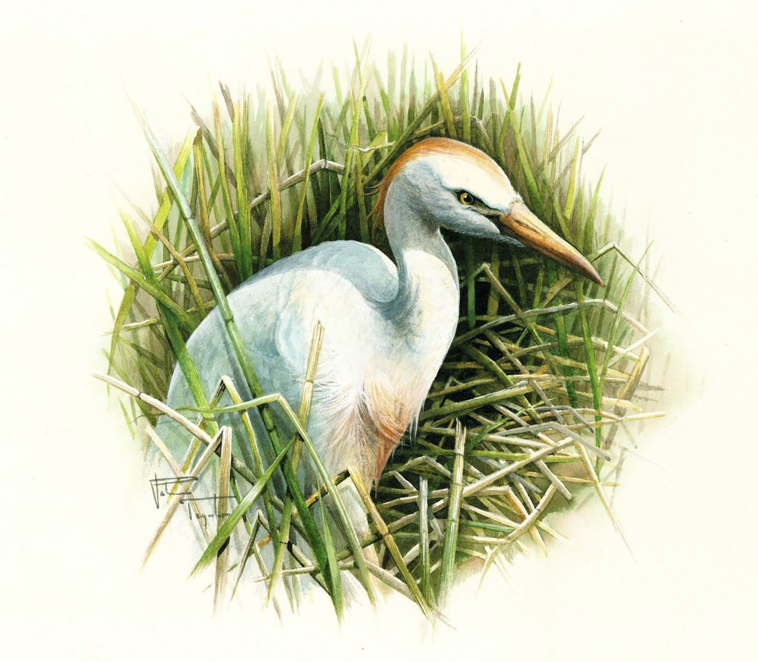 Patricia Taynton (PA,1945-?) watercolor painting (1 of 13)