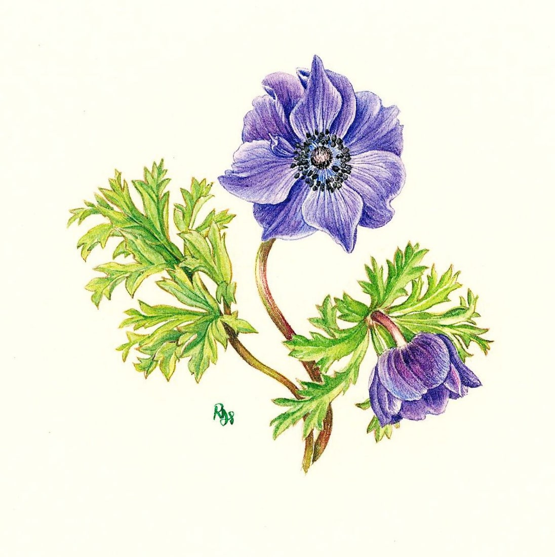 Rosanne Sanders (UK,20/21C) watercolor painting (1 of 11)