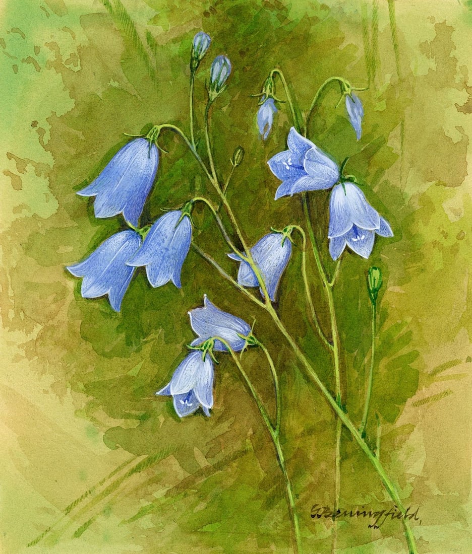 Gordon Beningfield (UK,1936-1998) gouache painting antique (1 of 13)