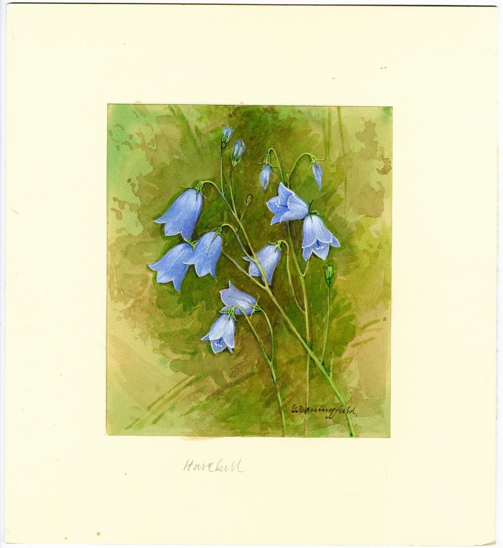 Gordon Beningfield (UK,1936-1998) gouache painting antique - 3