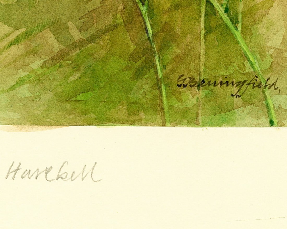 Gordon Beningfield (UK,1936-1998) gouache painting antique - 4