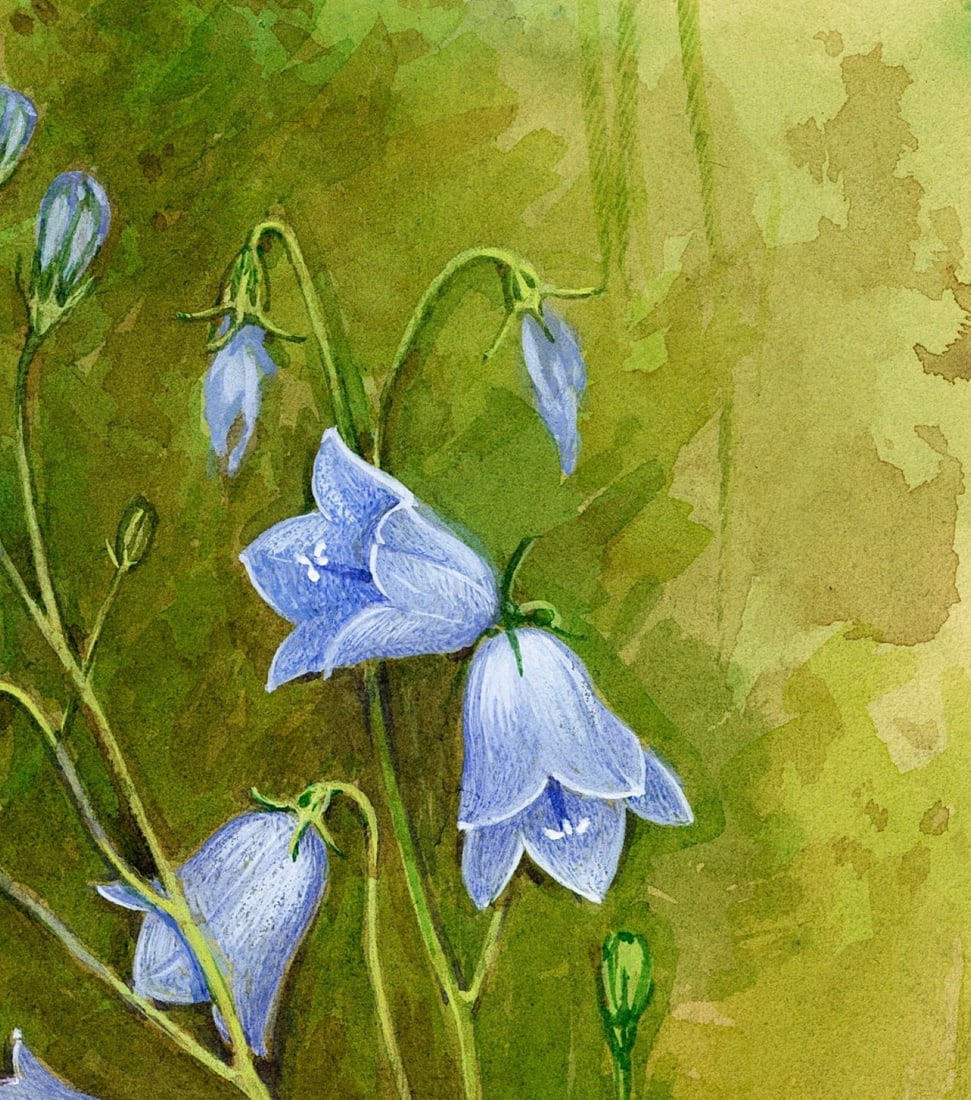 Gordon Beningfield (UK,1936-1998) gouache painting antique - 6