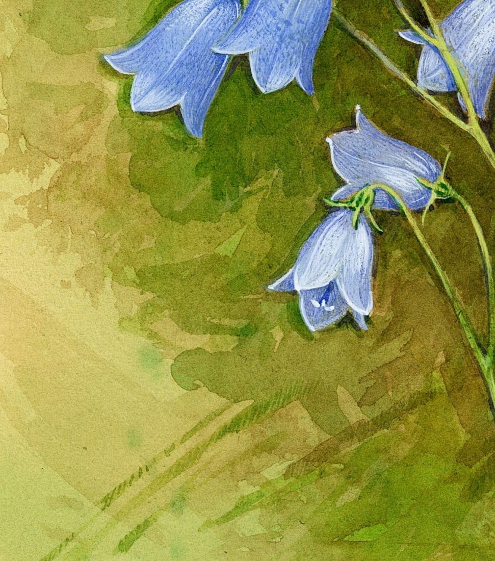 Gordon Beningfield (UK,1936-1998) gouache painting antique - 7