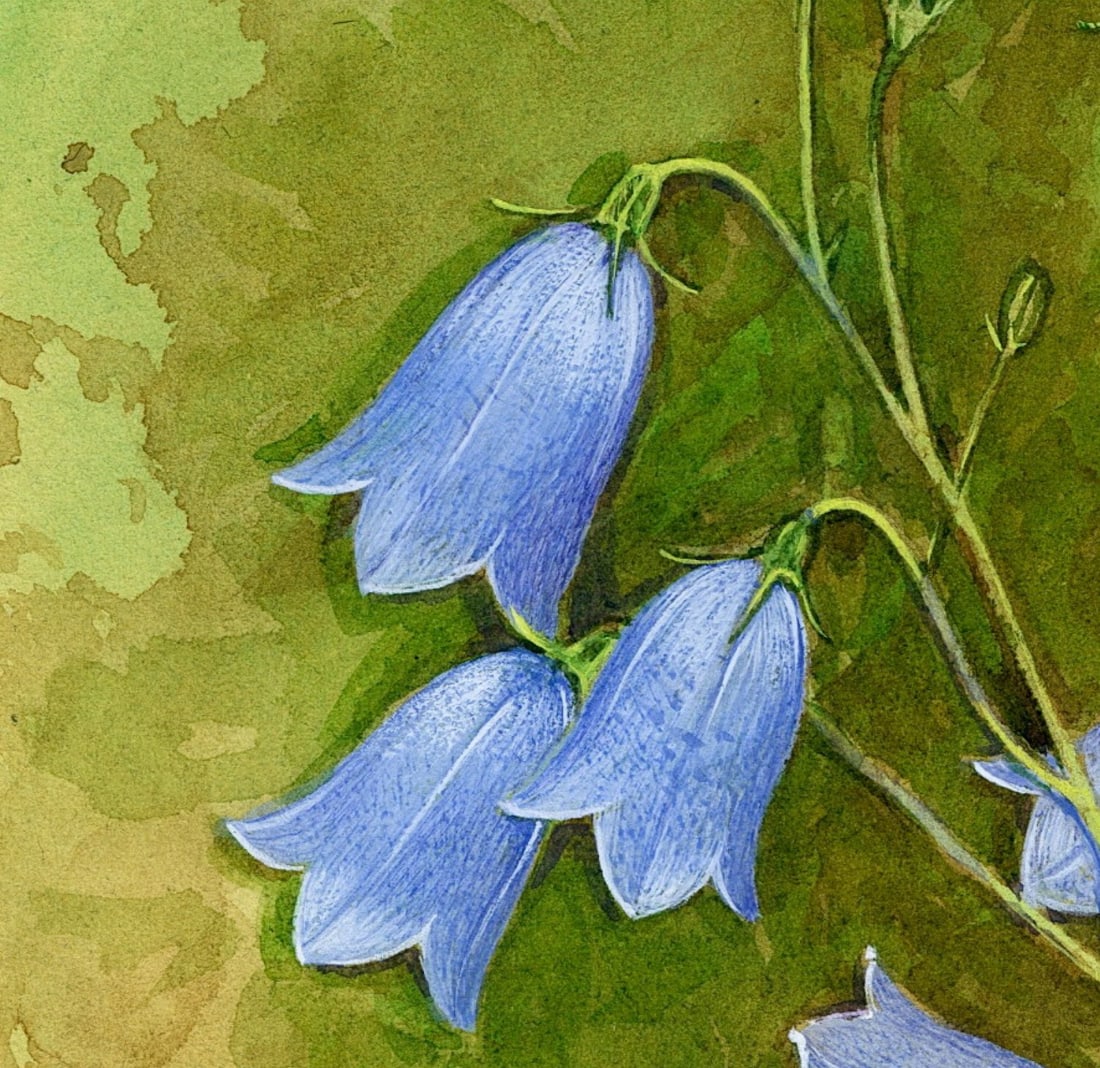 Gordon Beningfield (UK,1936-1998) gouache painting antique - 8