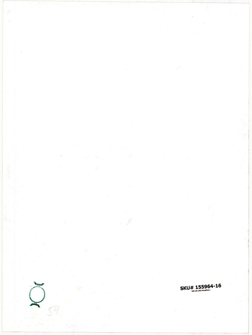 Oksana Voytynska (Ukraine,20/21C) oil painting - 9