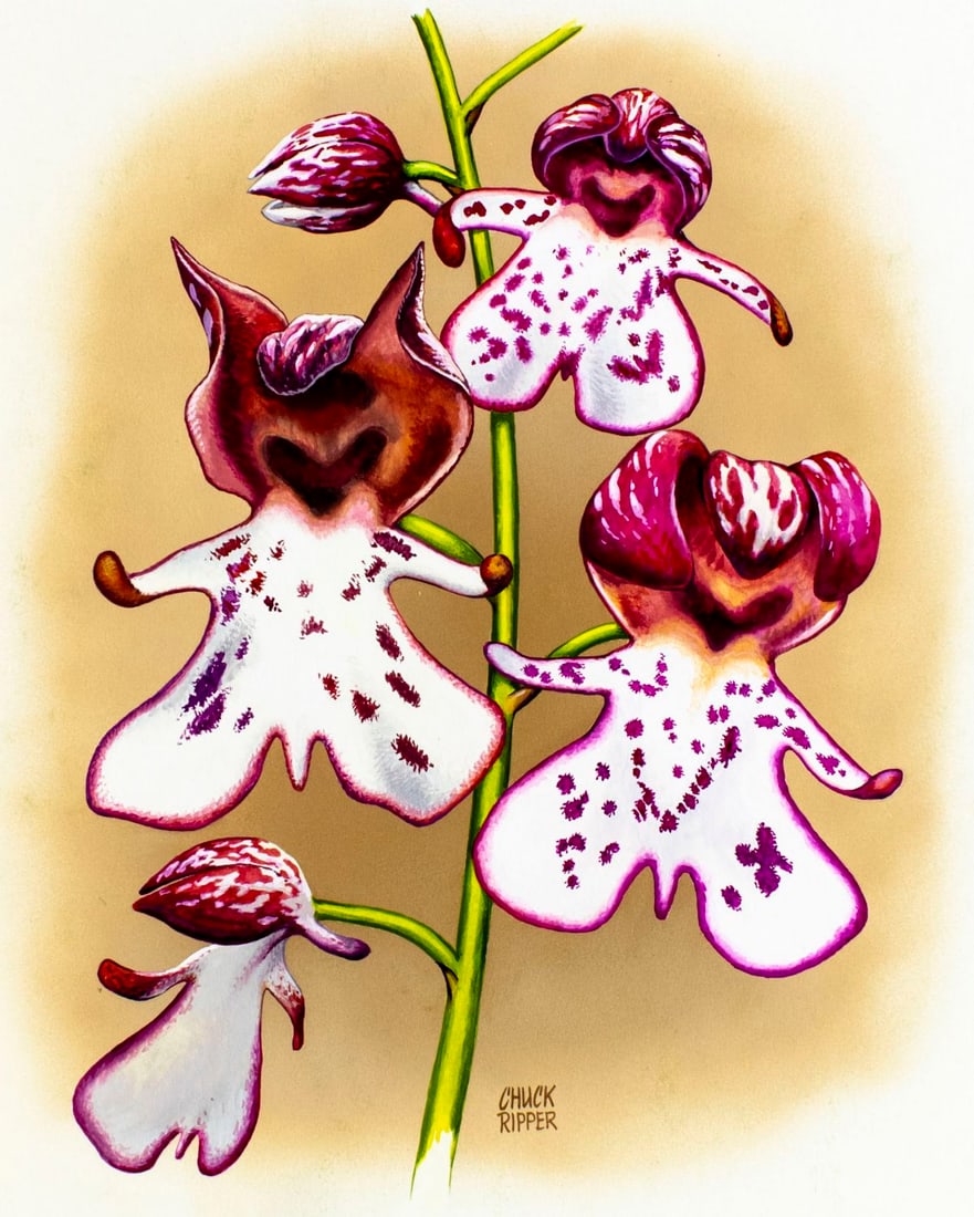 Chuck Ripper (WV,PA,1929-2019) gouache painting (1 of 13)