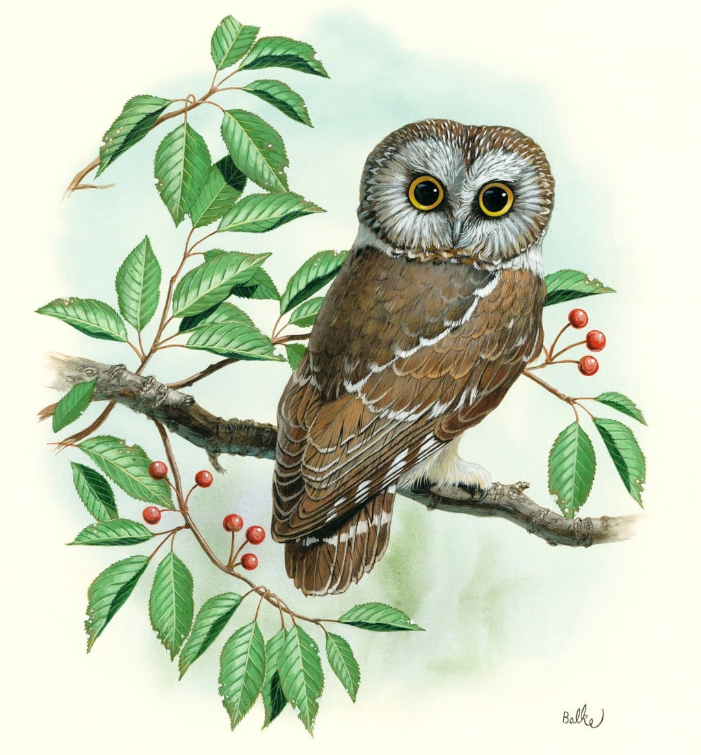 Don Balke (NC,1933-?) gouache painting (1 of 13)