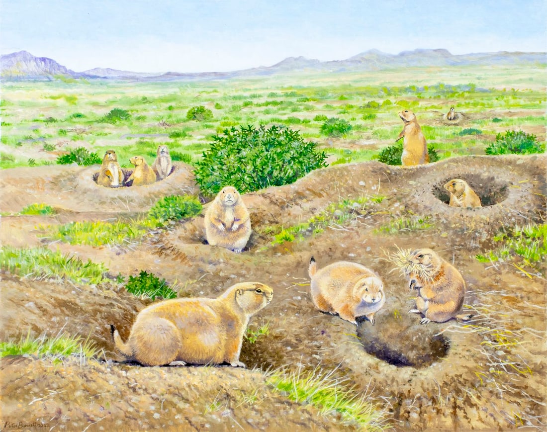 Peter Barrett (UK,1935-?) oil painting (1 of 13)