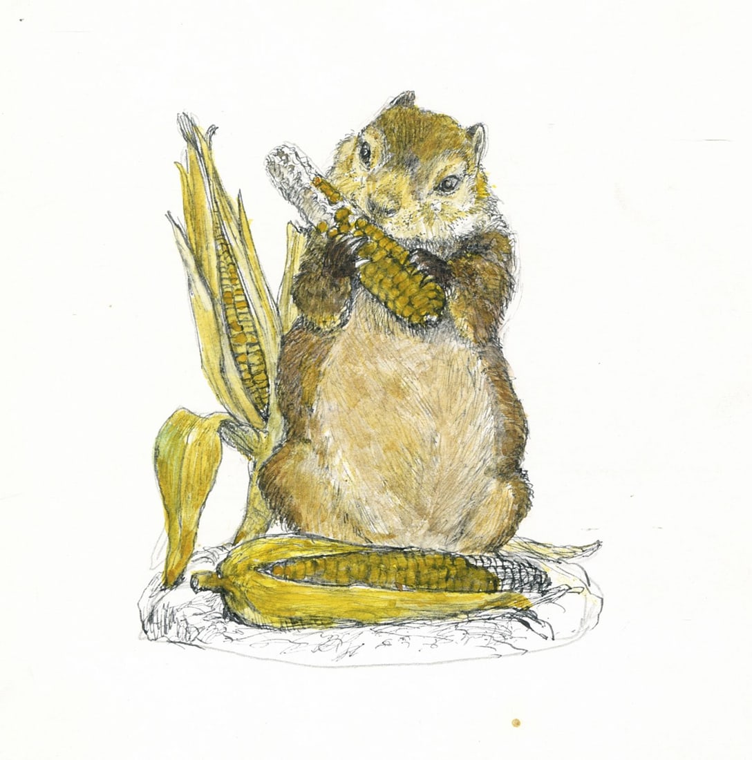 Gianni Benvenuti (Italy,US,1926-2005) watercolor painting: ARTIST: Gianni Benvenuti (Italian, American, 1926 - 2005) TITLE: Woodchuck (titled on verso) YEAR: 1983 MEDIUM: watercolor on board CONDITION: Overall