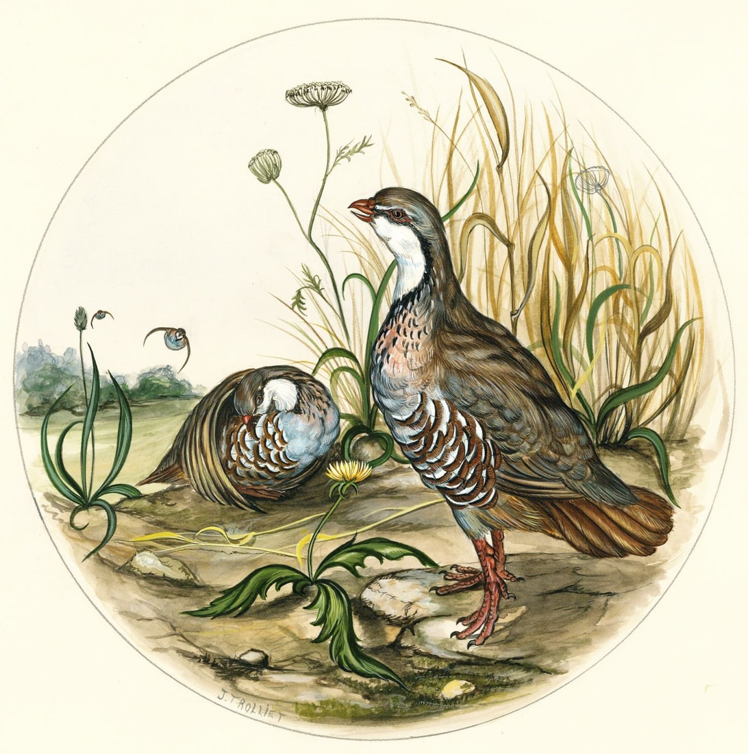 Jerome Trolliet (France,20C) gouache painting (1 of 12)