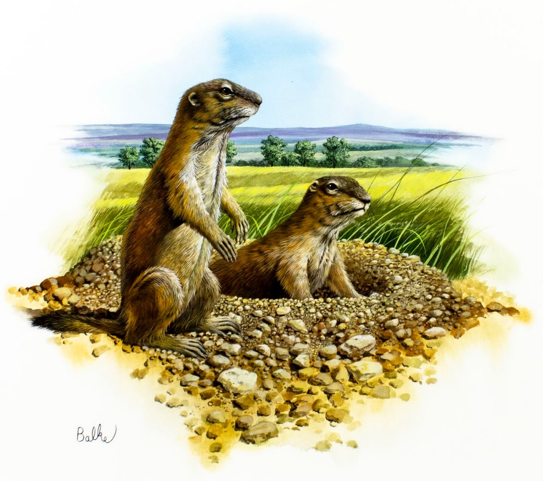 Don Balke (NC,1933-?) gouache painting: ARTIST: Don Balke (North Carolina, 1933 - ???) TITLE: Prairie Dog (titled on verso) YEAR: 1979 MEDIUM: gouache on paper. Paper applied to board. CONDITION: