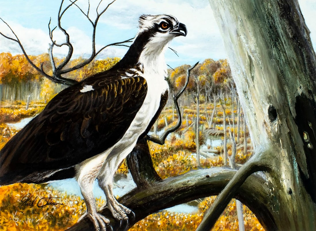 Kirk Stirnweis (NH,CO,b 1967) oil painting (1 of 13)