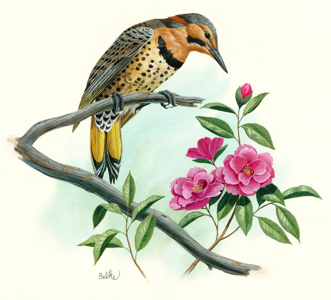 Don Balke (NC,1933-?) gouache painting (1 of 12)