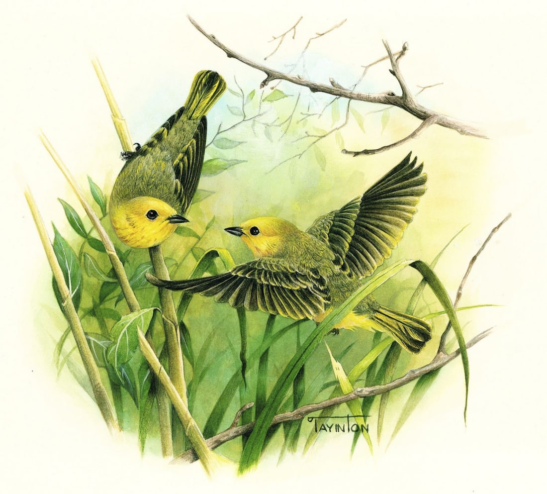 Patricia Taynton (PA,1945-?) watercolor painting (1 of 12)