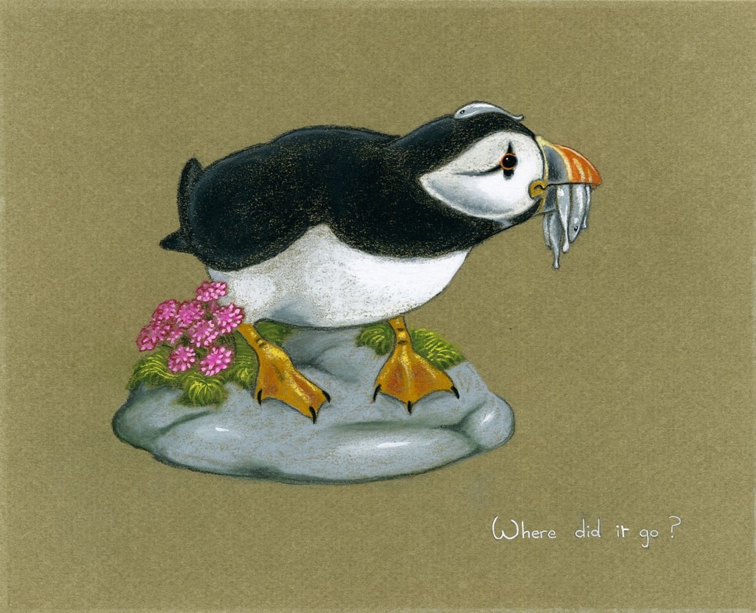 Deborah Bell Jarratt (PA,20/21C) pastel painting: ARTIST: Deborah Bell Jarratt (Pennsylvania, 20/21 centuries) TITLE: Puffin Bird - Where Did It Go YEAR: 1980s MEDIUM: pastel on paper. Paper applied to board. CON