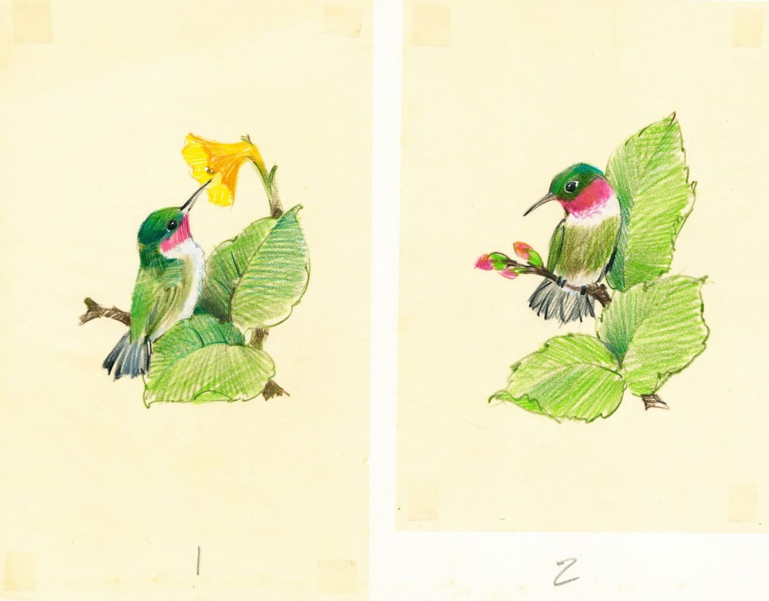 Al Fishman (PA,20C) colored pencil painting (1 of 13)