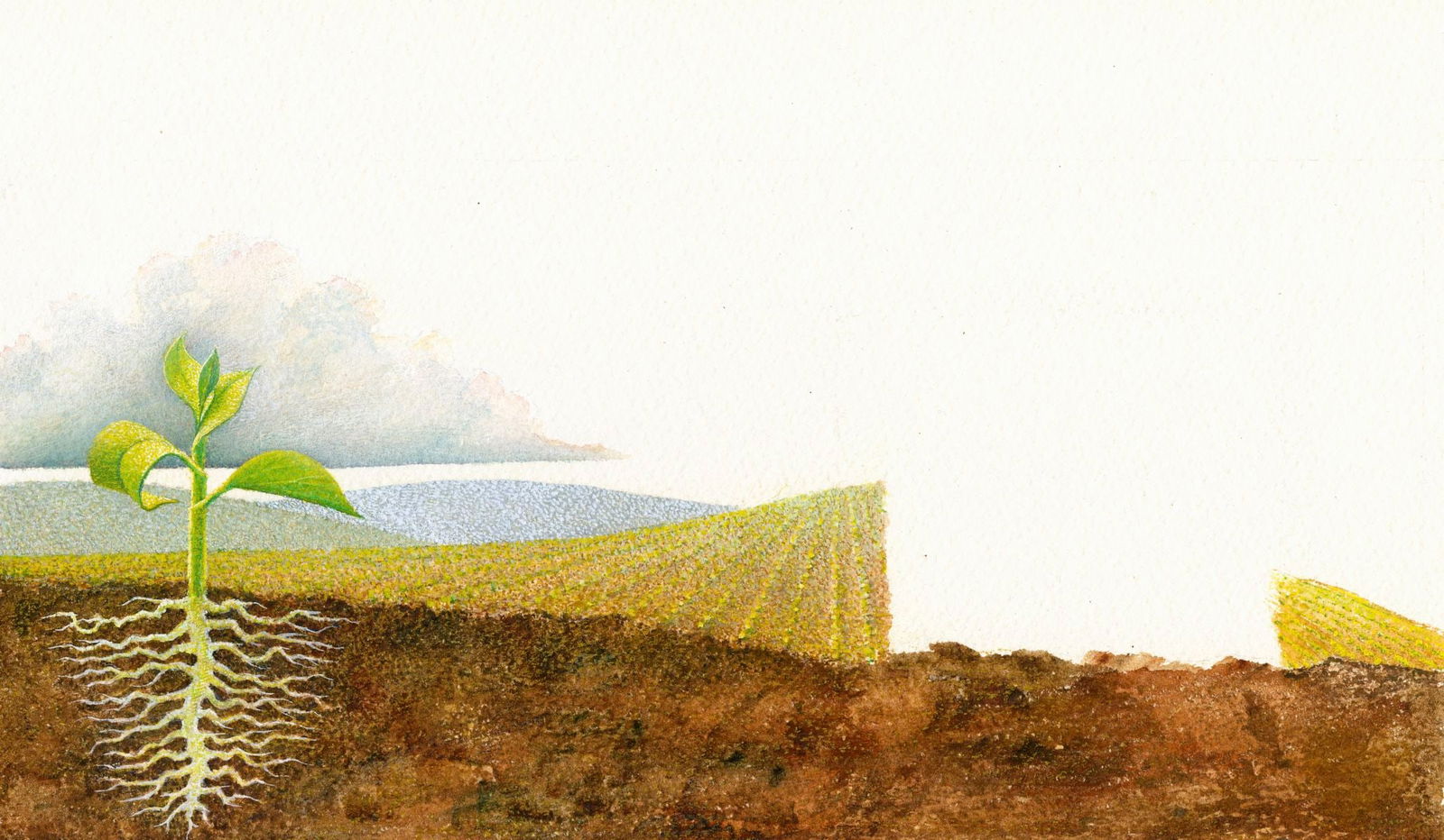 Vintage 20C American gouache painting (1 of 11)