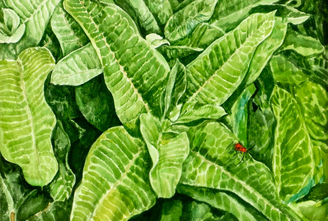 Marvin Everett Hayes (NY,CT,MS,1939-?) watercolor painting: ARTIST: Marvin Everett Hayes (New York, Connecticut, Mississippi, 1939 - ???) TITLE: Bug on Leaves YEAR: 1970 MEDIUM: watercolor on heavy paper CONDITION: