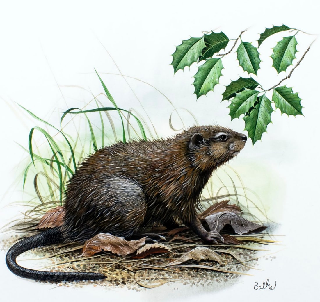 Don Balke (NC,1933-?) gouache painting (1 of 13)