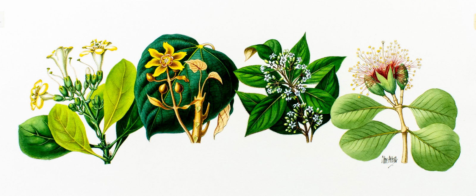 Clive Abbott (UK,1933–2008) watercolor painting (1 of 13)