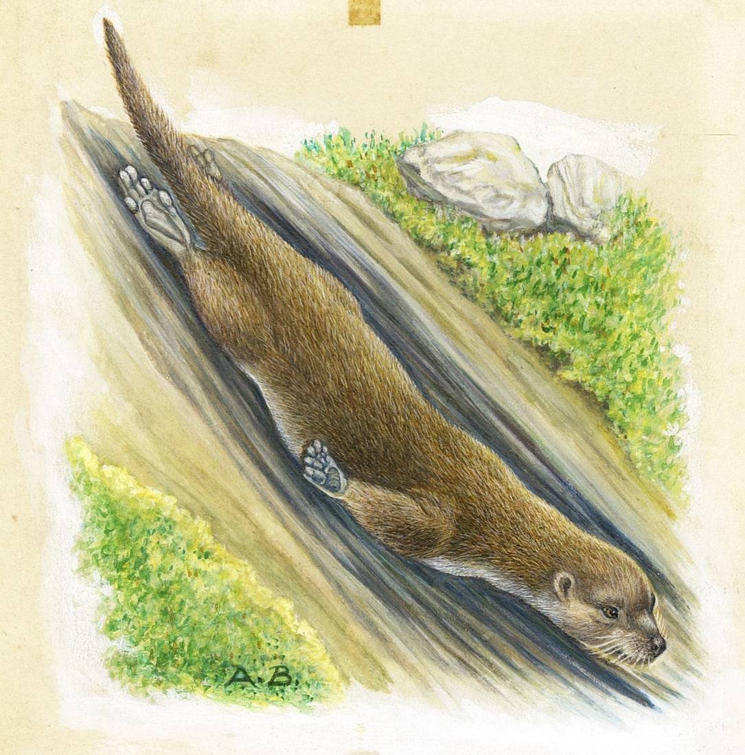 Vintage mid 20C American gouache painting (1 of 11)