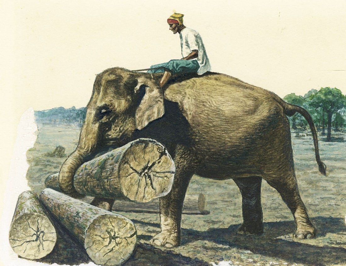 Vintage mid 20C American gouache painting: ARTIST: - (American, mid 20 century) TITLE: Indian Elephant YEAR: 1960s MEDIUM: gouache on board CONDITION: Minor age toning. Normal wear to edges.