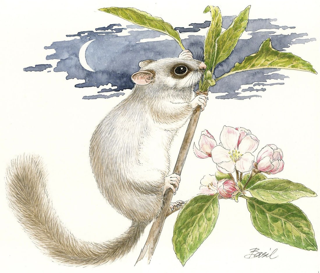 Basil Smith (UK,1925-2010) watercolor painting (1 of 11)