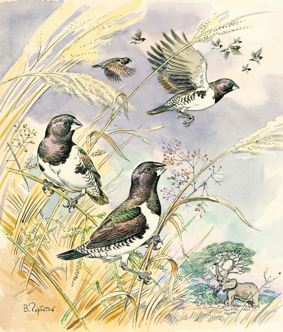 Vadim Gorbatov (Russia,1940-?) watercolor painting (1 of 10)