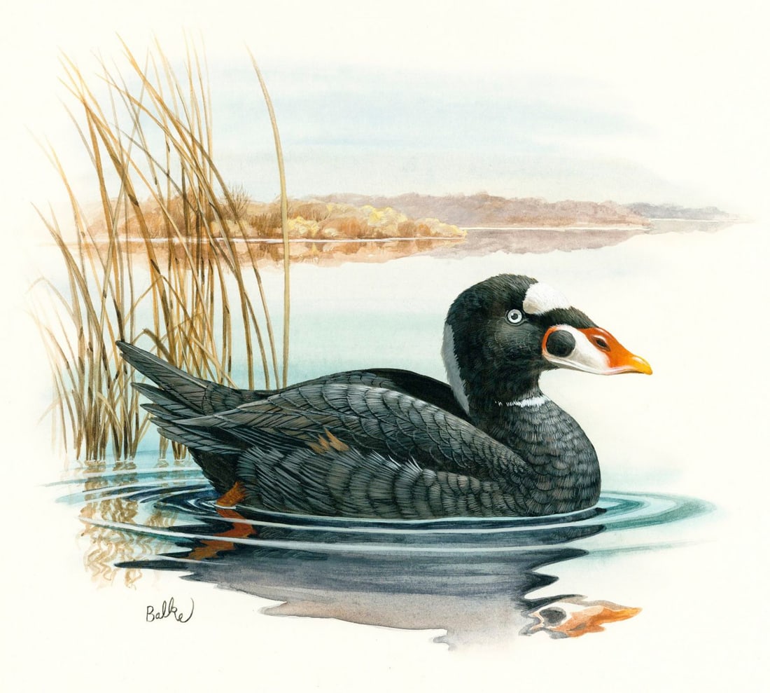 Don Balke (NC,1933-?) gouache painting (1 of 13)