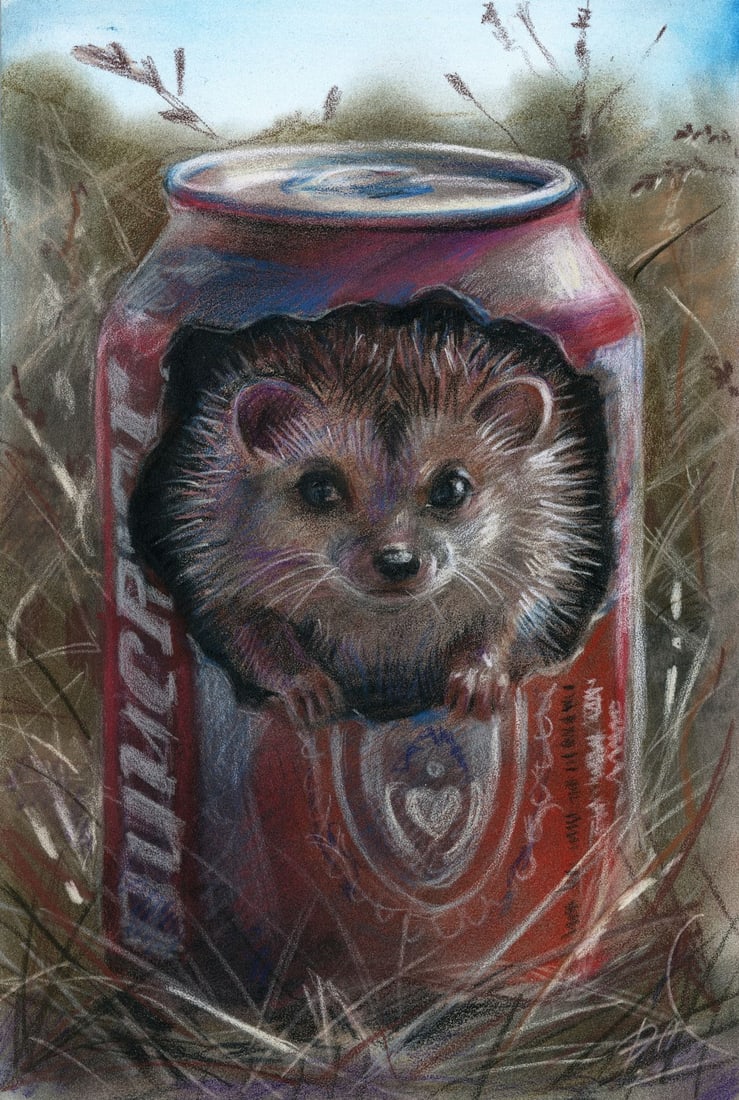 Olena Dmytrazh (Ukraine,b 1989) pastel painting: ARTIST: Olena Dmytrazh (Ukrainian, born 1989) TITLE: Hedgehog in Can MEDIUM: pastel on heavy paper CONDITION: Very good. ART SIZE: 12 x 8 inches / 30 x 2