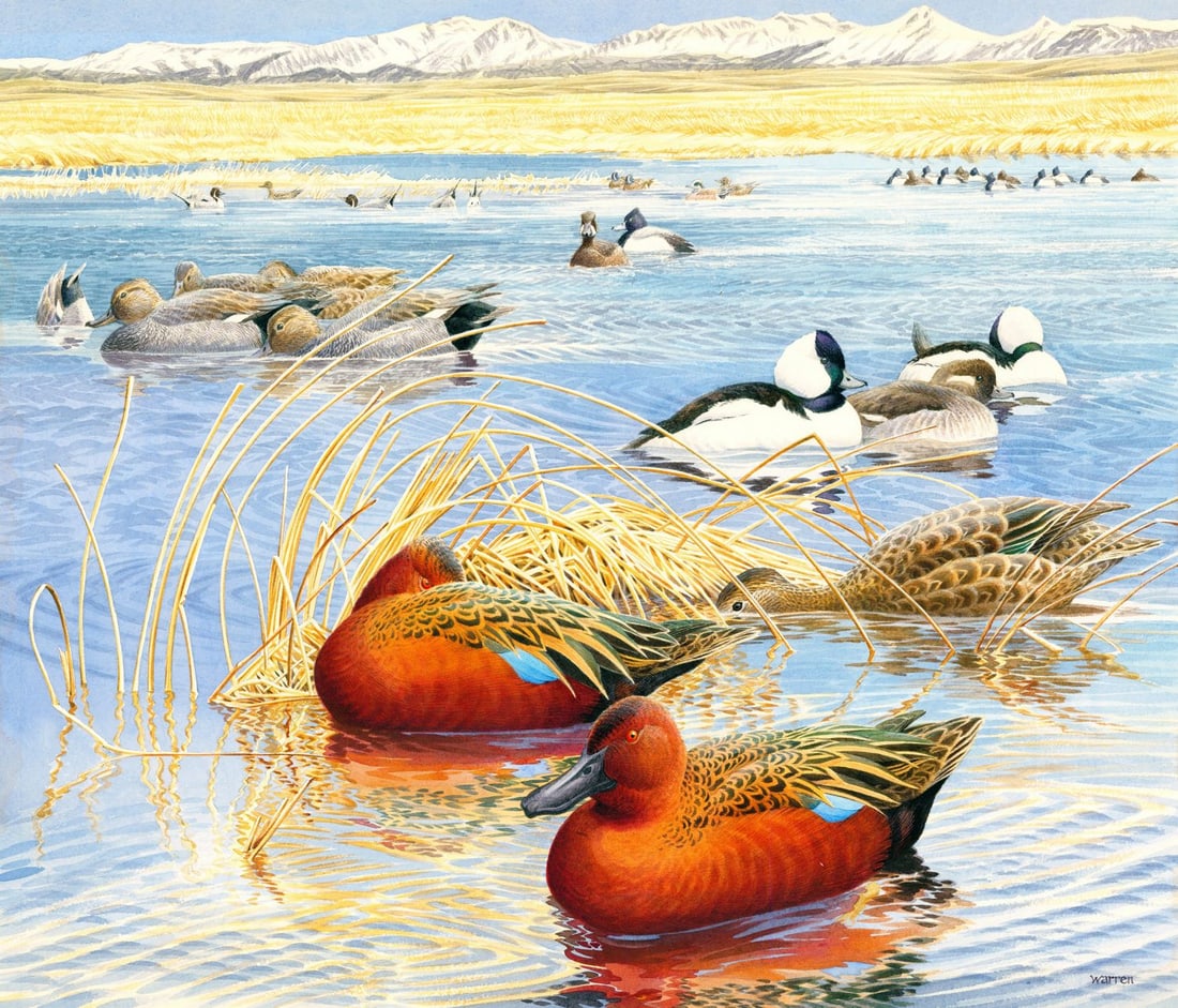 Michael Warren (UK,1938-?) watercolor painting: ARTIST: Michael Warren (United Kingdom, 1938 - ???) TITLE: Ducks YEAR: 1989 MEDIUM: watercolor on heavy paper CONDITION: Some small damages to the corn