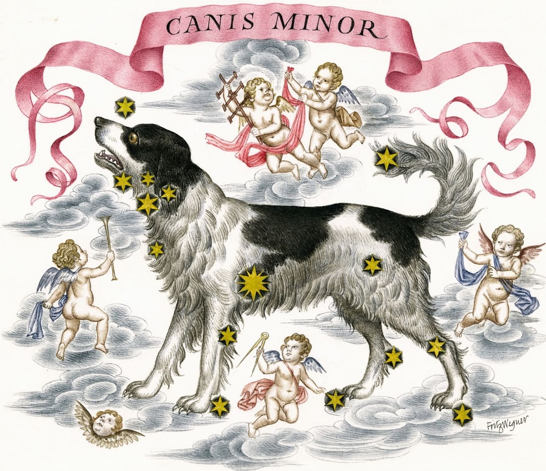 Fritz Wegner (Austria,1924-2015) watercolor painting: ARTIST: Fritz Wegner (Austrian, 1924 - 2015) TITLE: Consteallation of the Universe - Canis Minor (titled on verso) YEAR: 1986 MEDIUM: watercolor on paper. Paper applied to