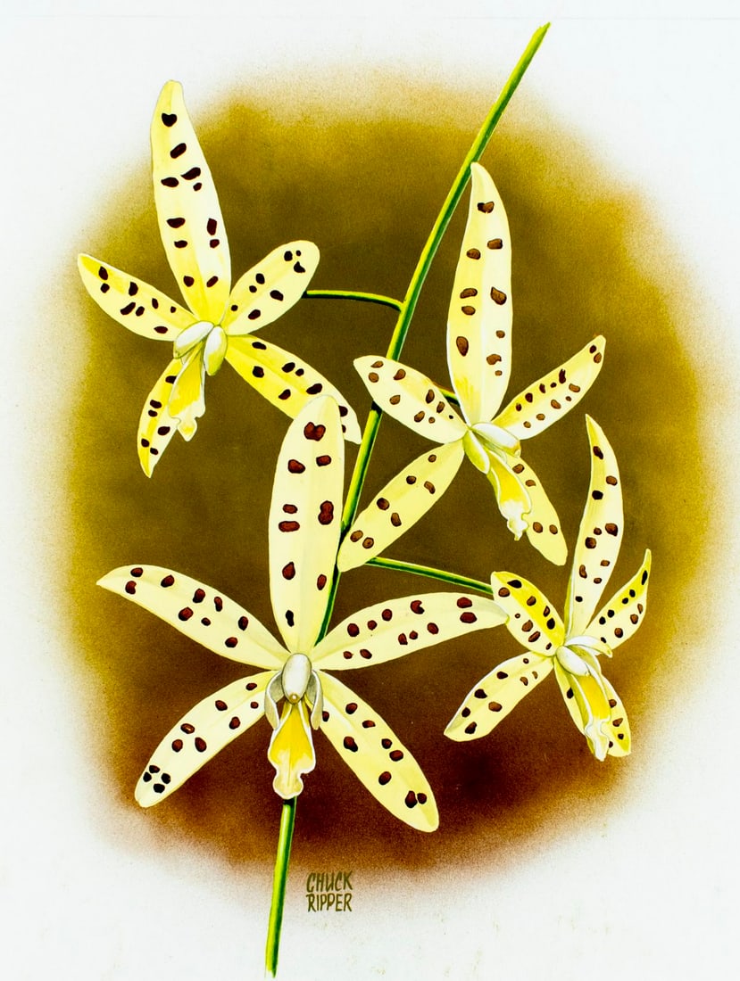 Chuck Ripper (WV,PA,1929-2019) gouache painting (1 of 13)