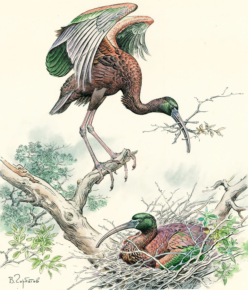 Vadim Gorbatov (Russia,1940-?) watercolor painting (1 of 10)