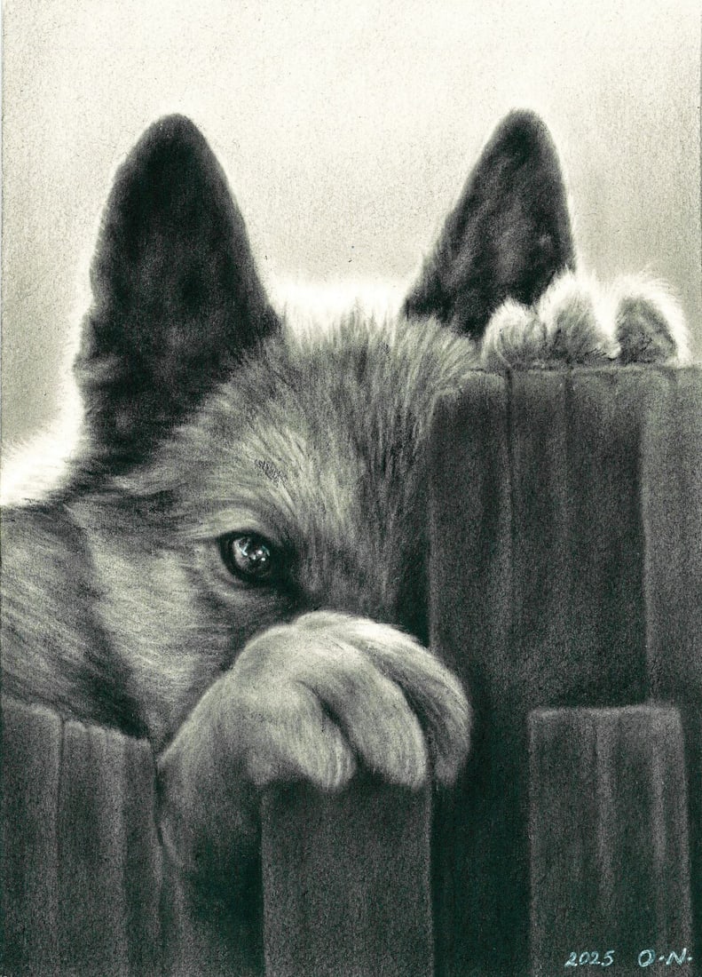 Olga Novostavskaya (Ukraine,b 1967) dry brush oil painting: ARTIST: Olga Novostavskaya (Ukrainian, born 1967) TITLE: Wolf MEDIUM: dry brush oil on paper CONDITION: Very good. ART SIZE: 8 x 6 inches / 20 x 15 cm