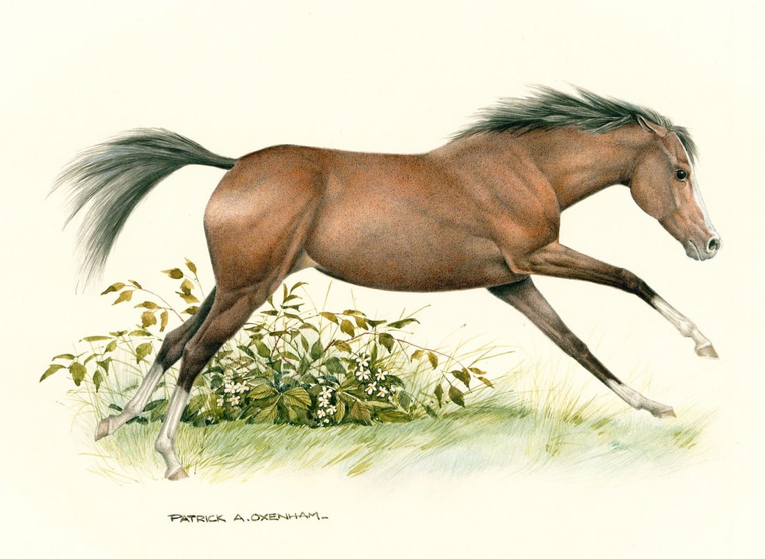 Patrick Oxenham (UK,1922-1996) watercolor painting (1 of 12)